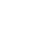 SMS icon